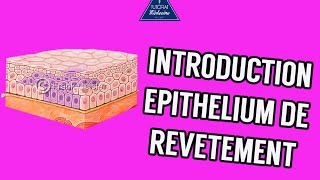 02  Introduction Epithélium de revêtement [upl. by Cantone]