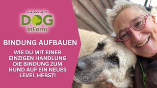 Wie du mit einer einzigen Handlung die Bindung zum Hund auf ein neues Level hebst [upl. by Norrahc]