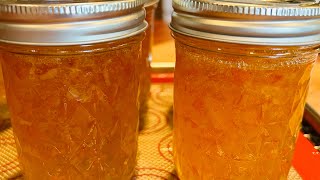 Orange Marmalade Extended recipe [upl. by Yaned]