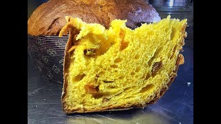 Panettone agrumi ricetta Maestro Alfonso Pepe  Primo impasto lievito madre [upl. by Mellette]