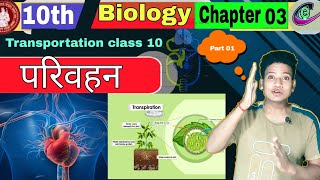 Transportation class 10 biology in hindi  class 10 biology chapter 3  pariwahan class 10 [upl. by Bobine]