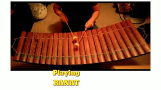 ranat ek sample playing [upl. by Snej]