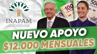 Inapam Te Da 12000 Pesos Por Mes 🥳 Si Tienes Tu Tarjeta 💳 Bienestar Entérate Inapam 2024 [upl. by Aikemaj]