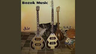 Bozok Music Pt 12 [upl. by Heywood236]