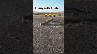 Hunter Vs falcon and hubara bustarperegrinefalcon falcon funny hunting viralvideo viralshorts [upl. by Seebeck]