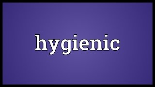 Hygienic Meaning [upl. by Dnalra]