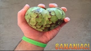 How To Eat A Cherimoya Fruit Custard Apple [upl. by Roze]