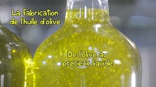 Processus de fabrication de lhuile dolive extra vierge Tramier [upl. by Oicul]