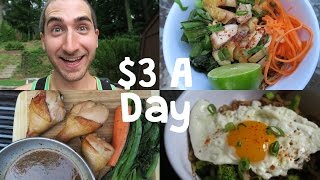 How To Eat Incredibly Well on 3 a Day [upl. by Nabalas]