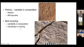 Ediacaran Textures of Life The ecological biological and sedimentological Dr Mary Droser [upl. by Ylram49]