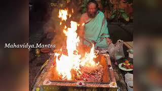 Raja Shyamala Maha Mantra Homam  MahavidyaMantra [upl. by Yaeger605]