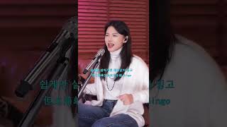 Mulan 빙고Bingo뮤란 율란 coverpop music song singer coversong [upl. by Yalcrab852]