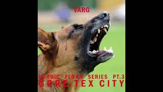 Varg  Nordic Flora Series Pt 3 Gore​​Tex City NE39 Full Album [upl. by Nodnar]