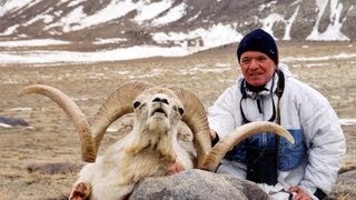 MARCOPOLO ARGALI HUNTING Chasse PAMIRS TAJIKISTAN by Seladang [upl. by Enicar]