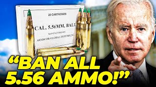 20 States JUST ANNOUNCED 556 Ammo BAN INSTANTLY [upl. by Ayot]