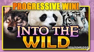 Into the Wild Slot  NEW GAME Nice WIN  PROGRESSIVE WIN  MAX BET  Slot Machine Bonus [upl. by Aciretahs473]