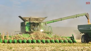 Big COMBINES Harvesting Corn [upl. by Dorinda]