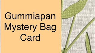 Gummiapan Mystery Bag Card cardmaker handmadecards [upl. by Eniamahs]