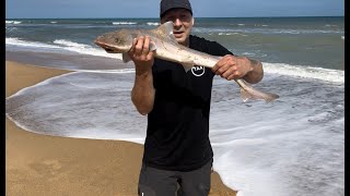 Who Won The 90 Mile Beach Fishing Comp [upl. by Ytsirk952]