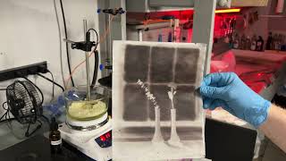 Waxing a Calotype Paper Negative [upl. by Nanaj]