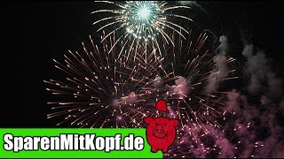 Prost Neujahr Wie ich Geld an Silvester ausgebe und Meine Meinung zu Böllern [upl. by Valle]