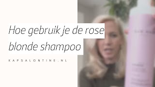 Rosé blonde shampoo info [upl. by Macmillan193]