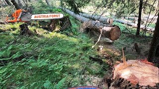 Holzfällen für Seilbahn [upl. by Aronos]