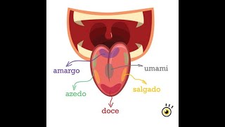 A LÍNGUA E OS SABORES [upl. by Nahtnoj]