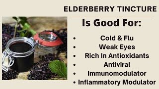 Elderberry Uses amp How To Make A Elderberry Tincture To Build your Immune Great for Colds [upl. by Jacquette]