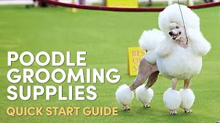 Poodle All Varieties Grooming Supplies Quick Start Guide [upl. by Yromem268]