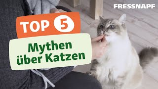 Top 5 Mythen über Katzen [upl. by Guss]