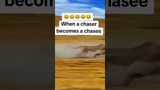 When the Chaser becomes the Chasee funnyreels warthog trendingreels [upl. by Aicire930]