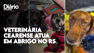 Veterinária cearense fala da rotina de cuidado a animais resgatados em abrigo improvisado no RS [upl. by Korwun]