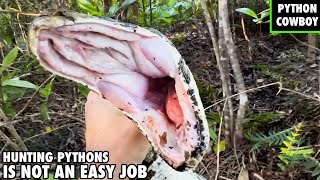 Python Hunting In The Florida Everglades Is Not An Easy Job [upl. by Eeniffar]