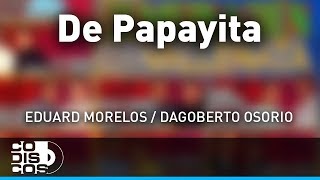 De Papayita La Combinación Vallenata  Audio [upl. by Otrebire]