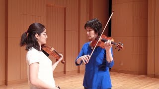 Violin Techniques  RICOCHET IN SARASATE [upl. by Anivek]