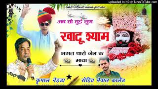 Naresh meena ko jeel se riha rho  singer karpal meena nehada nareshmeena djsong trending [upl. by Neeuq53]