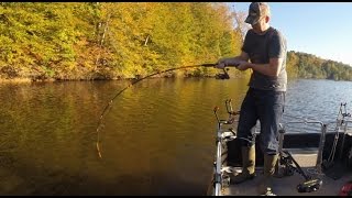 How to catch flathead catfish [upl. by Zed]