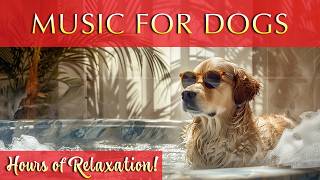 Spalike Experience with Relaxing Music for Dogs 🐶 [upl. by Deden301]