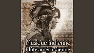 Musique amérindienne [upl. by Ais]