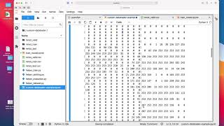 L952 Custom DataLoaders in PyTorch Code Example [upl. by Samala]