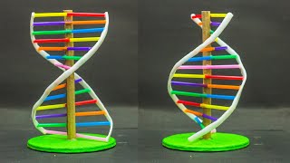 School Science Projects  DNA Model [upl. by Yelrak365]