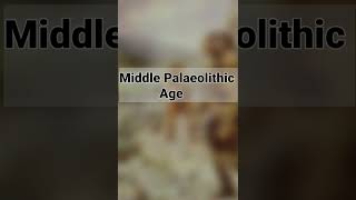 Palaeolithic Age tools  पाषाण काल के औजार  Stone Age  Ancient History [upl. by Chitkara285]