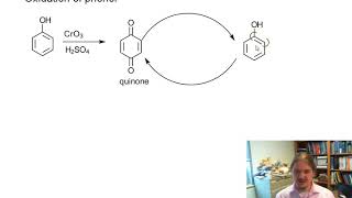 Oxidation of phenol [upl. by Fortunia]