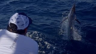 Sport Fishing Television 2019  AnglerInChief Episode 11 [upl. by Asilet870]