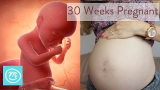 30 Weeks Pregnant What You Need To Know  Channel Mum [upl. by Niels]