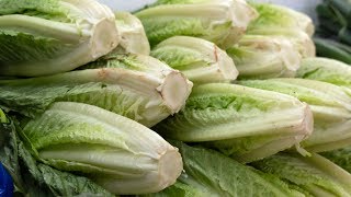 Why does romaine lettuce get Ecoli [upl. by Eelrehpotsirhc855]