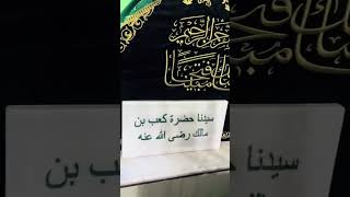 Syed kahab Razi Allah anhu grave instabulint [upl. by Elena]