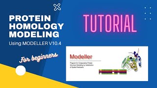 Protein Homology Modeling with Modeller 104  For Beginners [upl. by Airdnaxela]