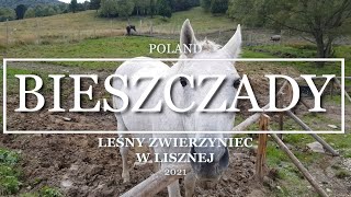 4K Polska BieszczadyLeśny Zwierzyniec w Lisznej  Z wizytą u zwierząt [upl. by Ameer]